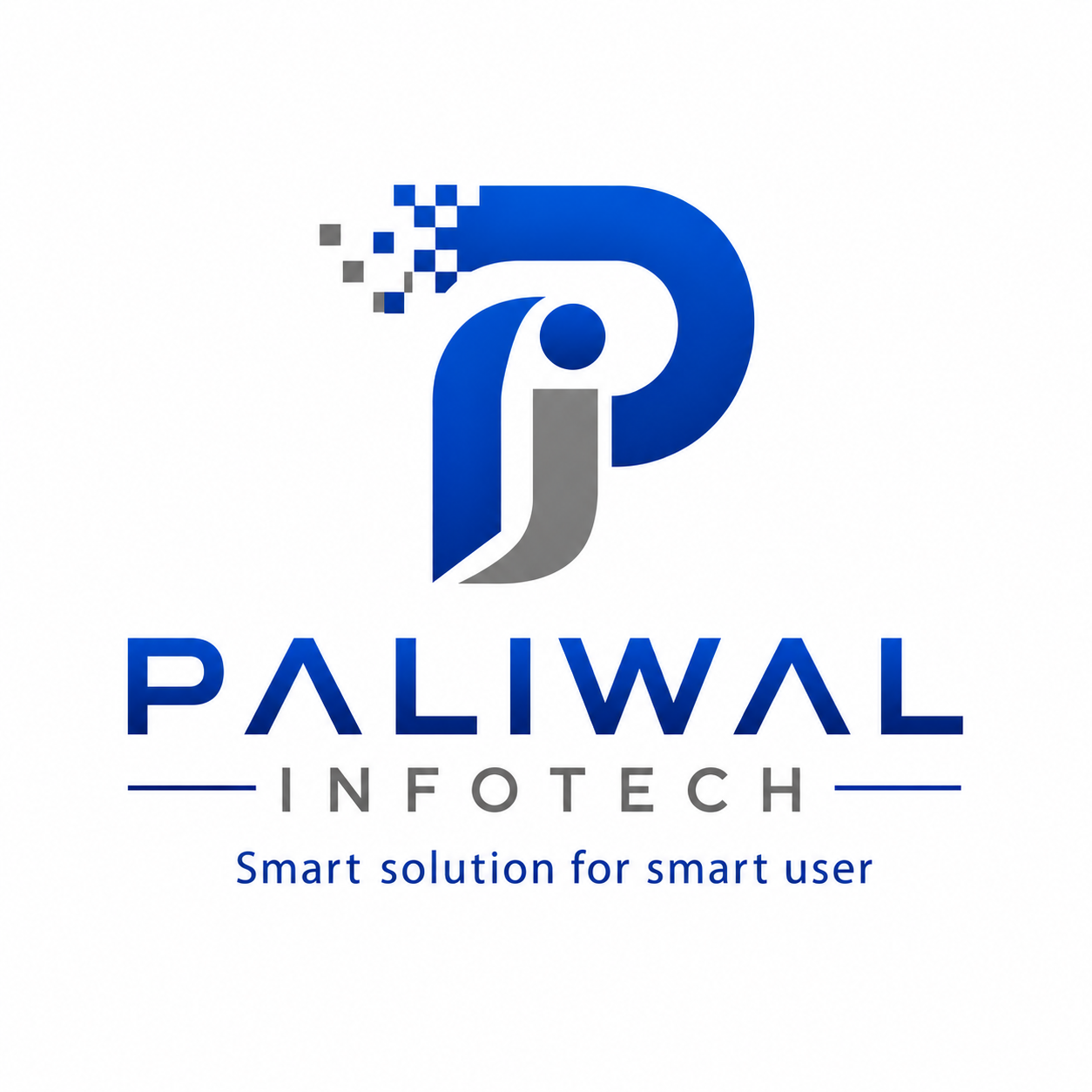 Paliwal Infotech
